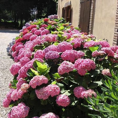 Montecorneo Country House Ponte San Giovanni Eksteriør billede