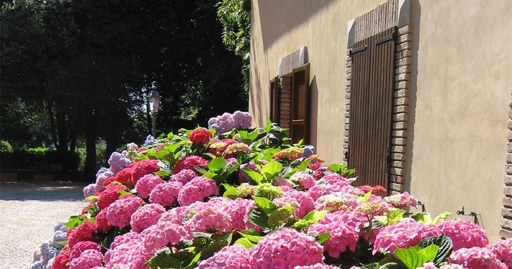 Montecorneo Country House Ponte San Giovanni Eksteriør billede